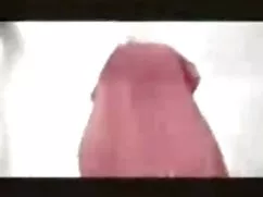 二つの採用マッサージ師吸引巨根クライアン ...